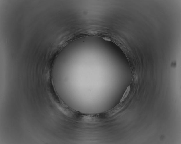 X0000091990568200710041132