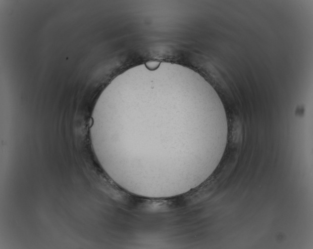 X0000091990569200710041132