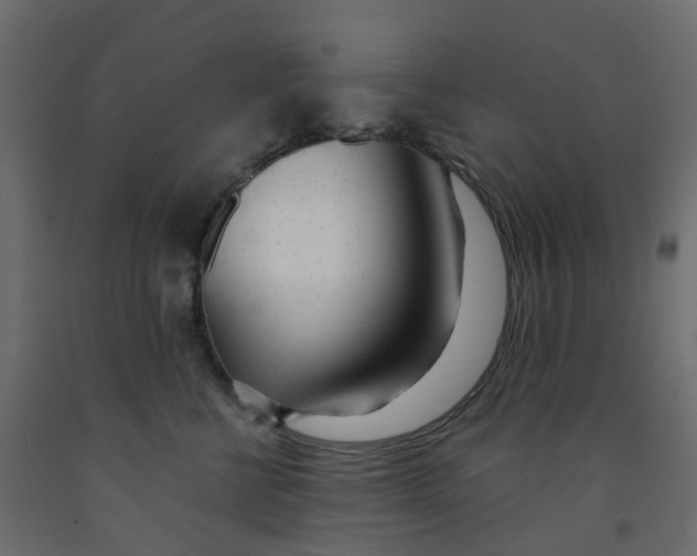 X0000091990570200710041132