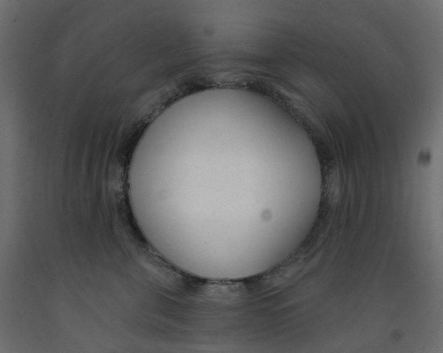 X0000091990571200710041132