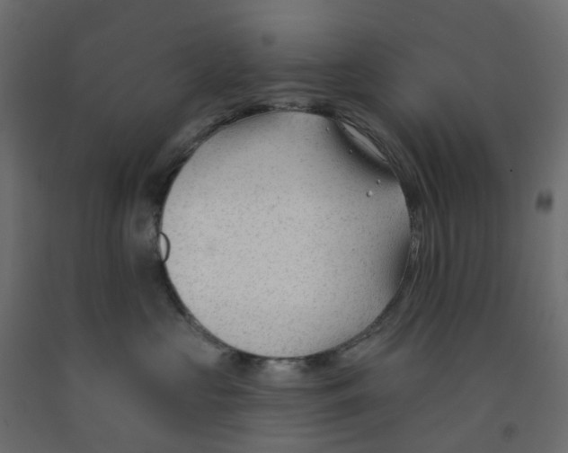 X0000091990573200710041132