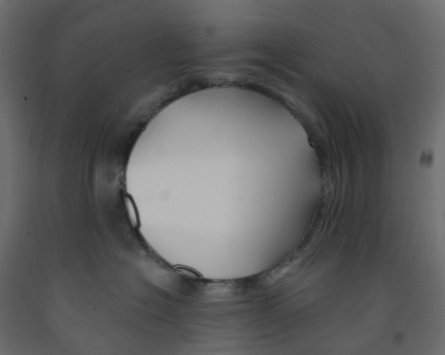 X0000091990574200710041132