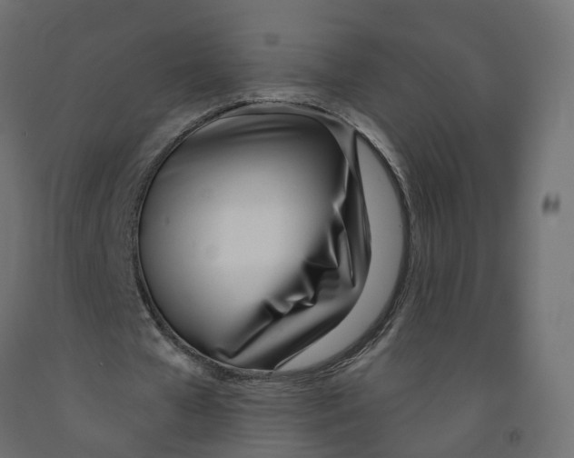 X0000091990577200710041132