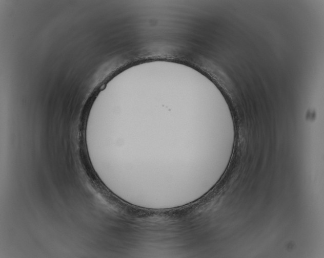 X0000091990578200710041132