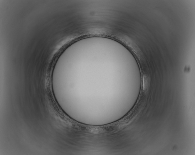 X0000091990579200710041132