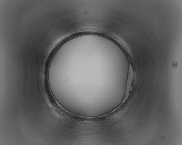 X0000091990580200710041132