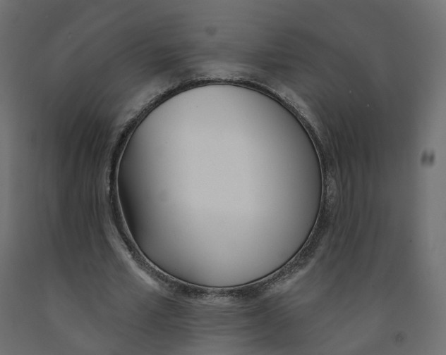X0000091990581200710041132