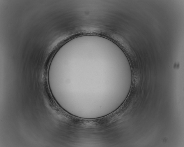X0000091990583200710041132