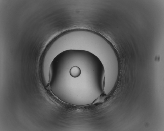 X0000091990584200710041132