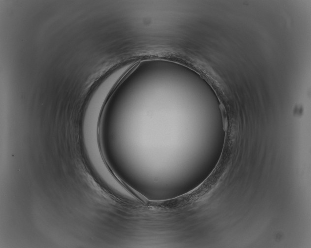 X0000091990585200710041132