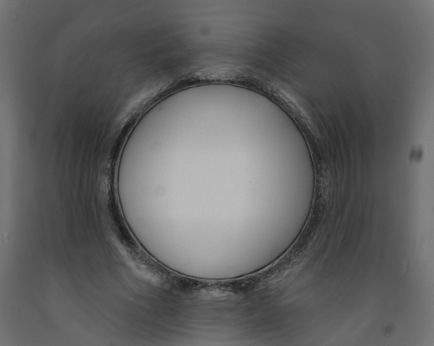 X0000091990586200710041131