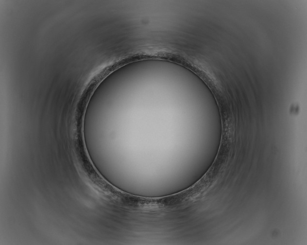 X0000091990587200710041131