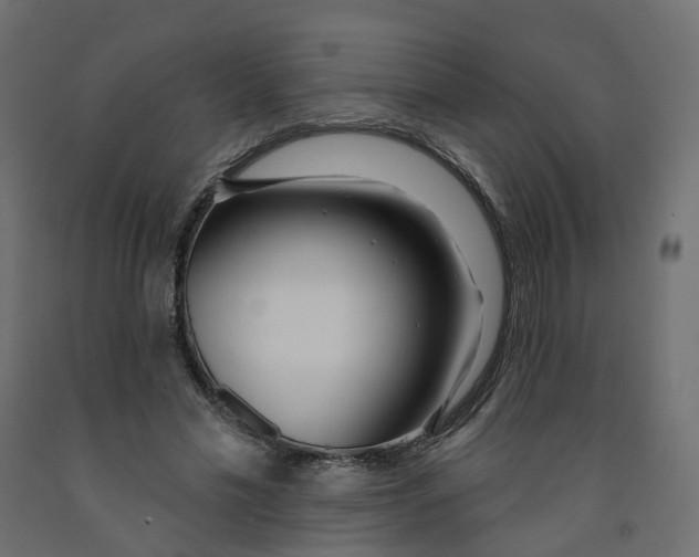 X0000091990589200710041131