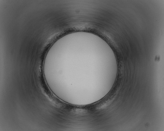 X0000091990590200710041131