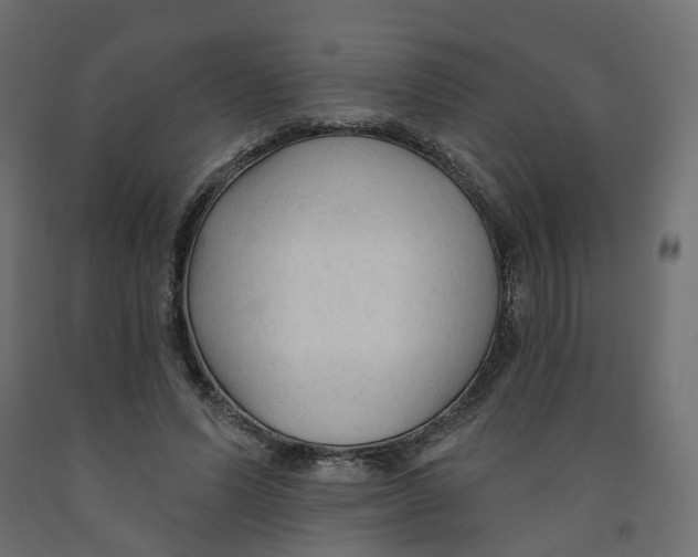X0000091990591200710041131
