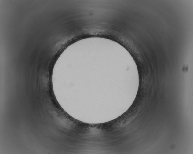 X0000091990592200710041131