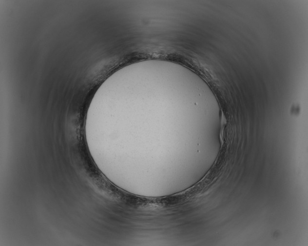 X0000091990594200710041131