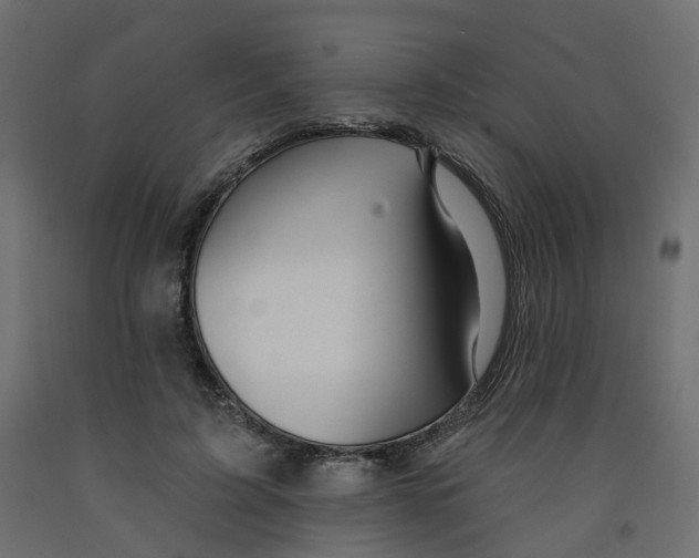 X0000091990595200710041131