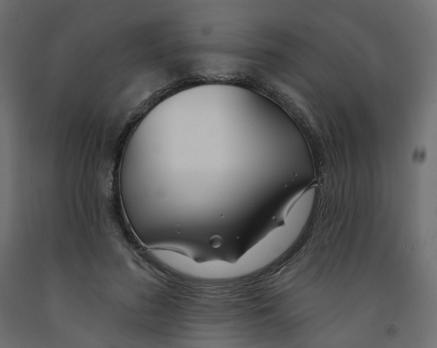 X0000091990596200710041131