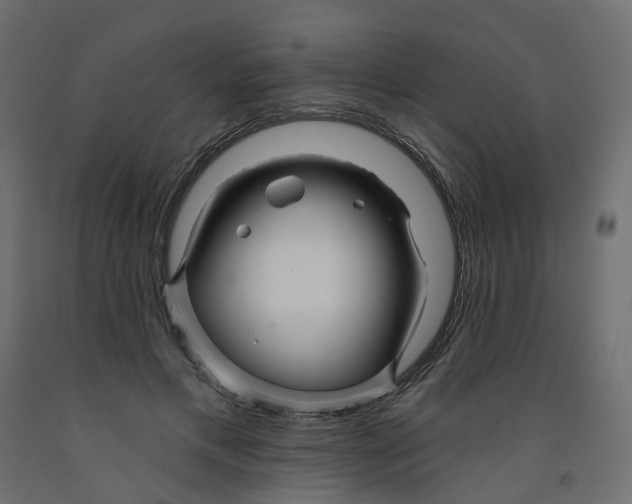 X0000091990597200710041131