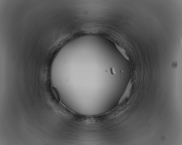 X0000091990600200710041131