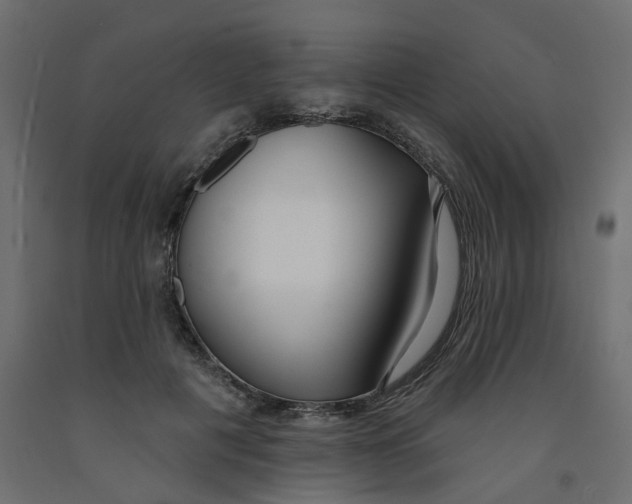 X0000091990601200710041131