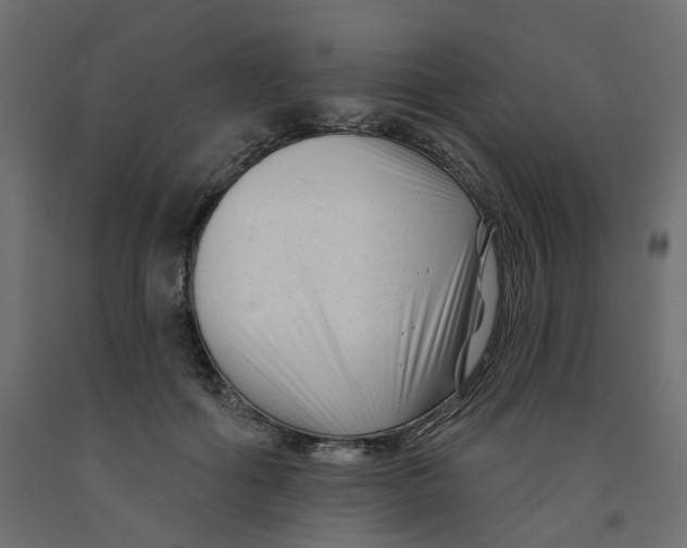 X0000091990602200710041131