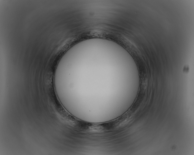 X0000091990603200710041131