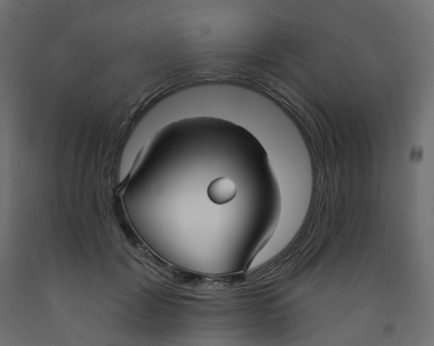 X0000091990604200710041131