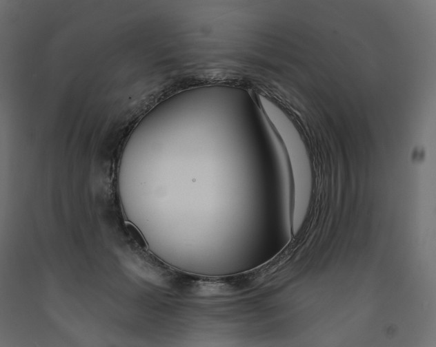 X0000091990605200710041131