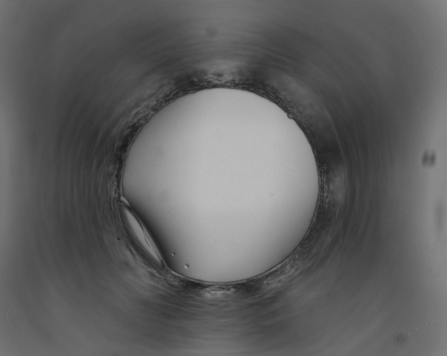 X0000091990606200710041131