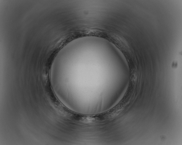 X0000091990607200710041131