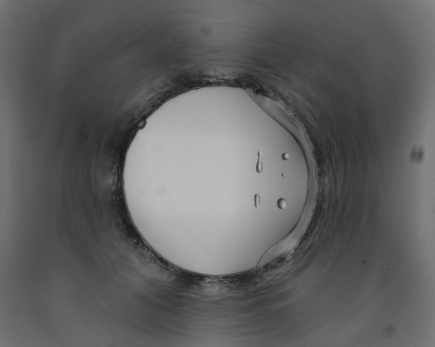 X0000091990608200710041131