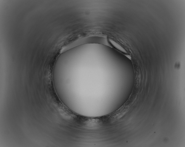 X0000091990609200710041131