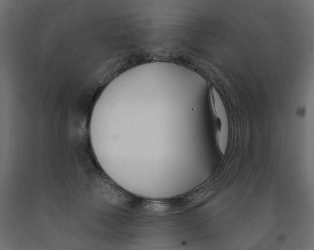X0000091990610200710041131