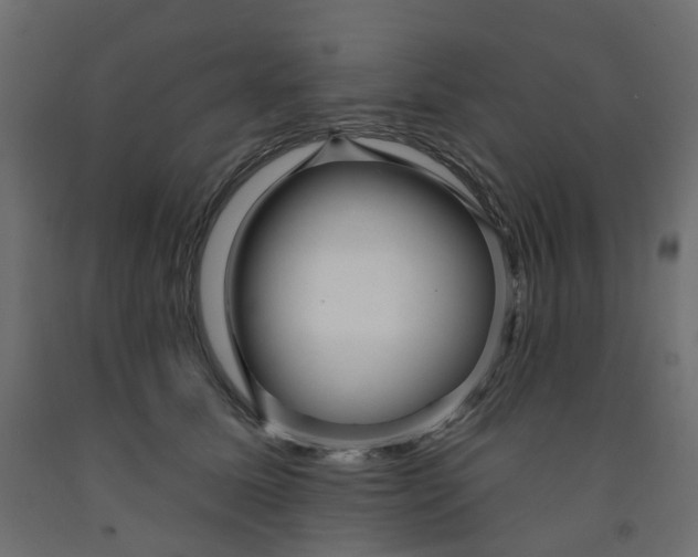 X0000091990611200710041131