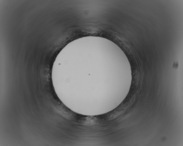 X0000091990612200710041131
