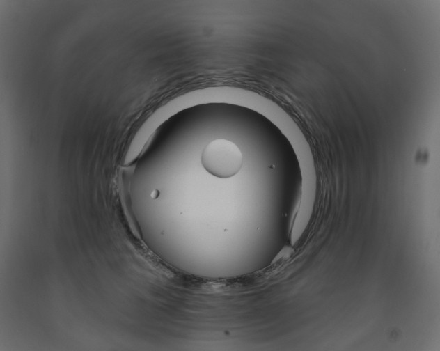 X0000091990613200710041131