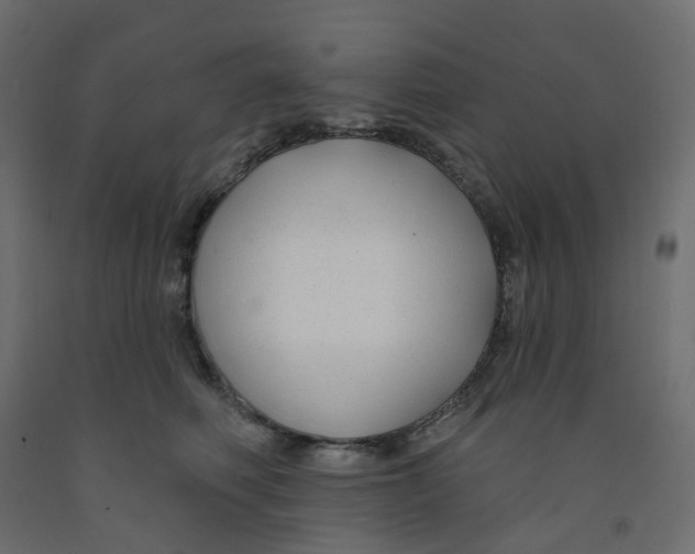 X0000091990614200710041131