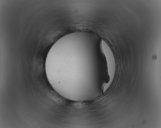 X0000091990615200710041131