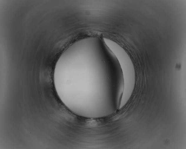 X0000091990616200710041131