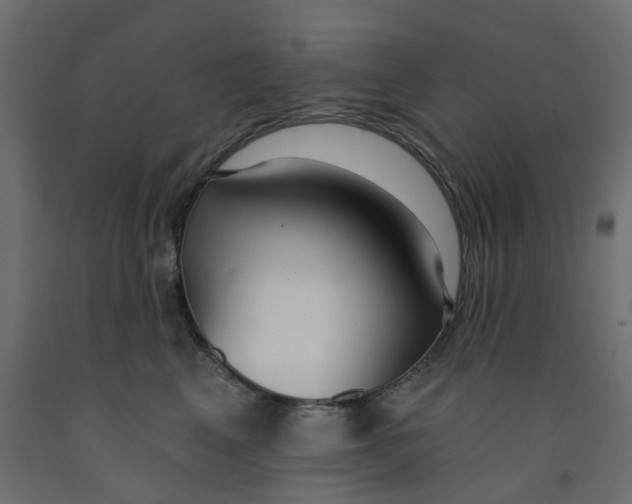 X0000091990617200710041131