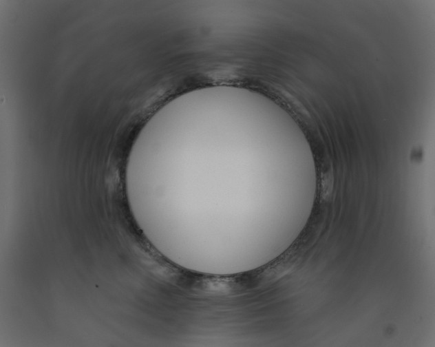 X0000091990618200710041131