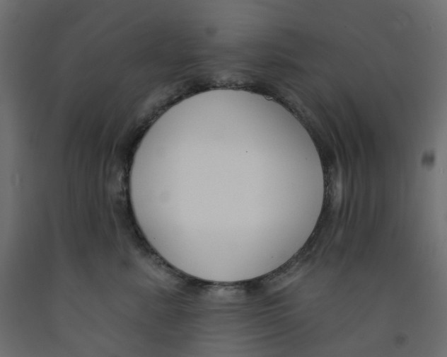 X0000091990619200710041131