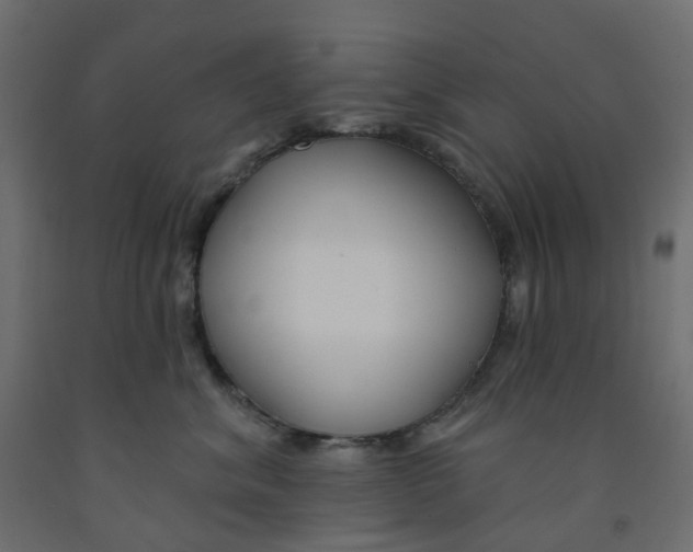 X0000091990620200710041131