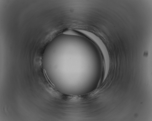 X0000091990621200710041131