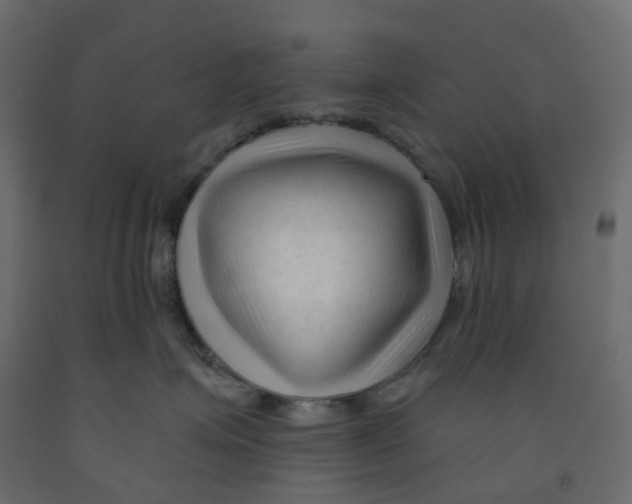 X0000091990623200710041131