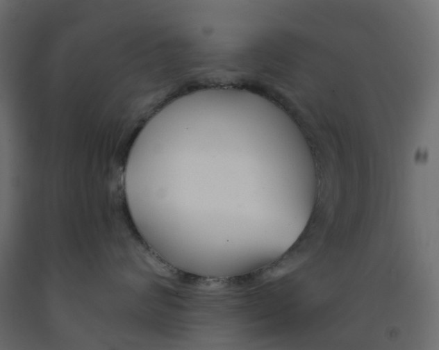 X0000091990624200710041131