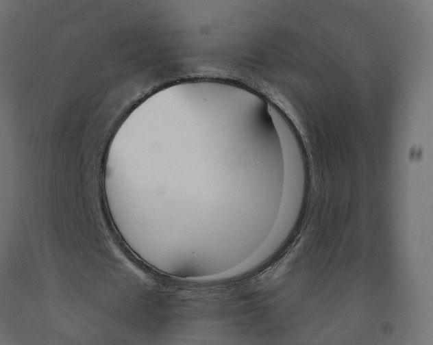 X0000091990625200710041130
