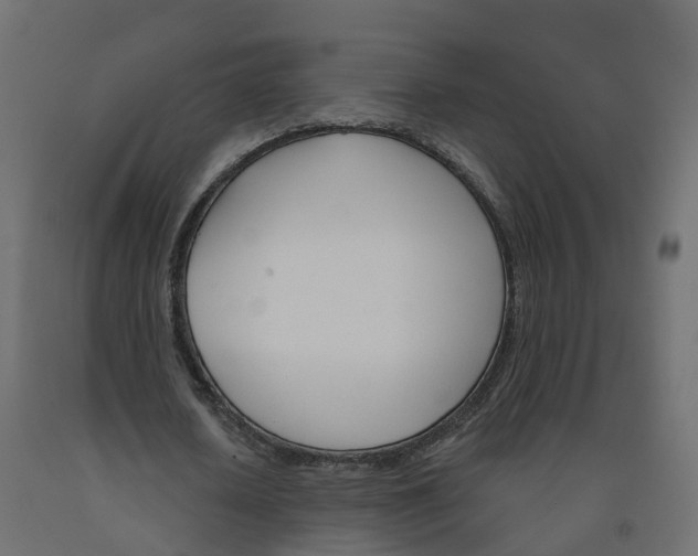 X0000091990626200710041130
